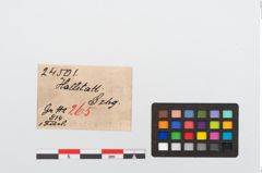 Etikett zu Bronzezweiknopffibel (NHMW-PRAE-024501)